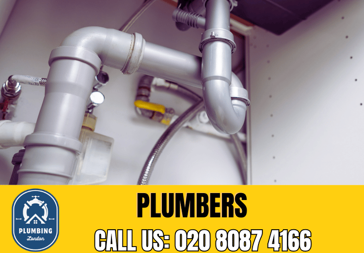  plumber West Green